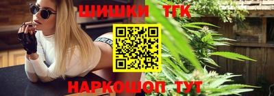 индика Мариинск