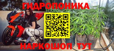 индика Мариинск